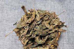 枸杞叶子发黄的原因与解决方法（保持枸杞叶子健康的关键措施）