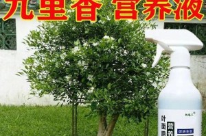 九里香叶子蔫了该怎么办？（教你诊断原因、采取措施，让九里香焕然一新）
