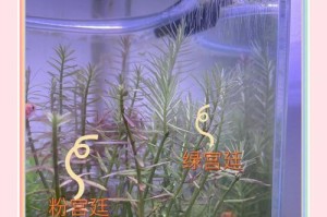 水草的根系是否必要？（水草是否能活得下去没有根系？有叶子但无根系的水草是否能存活？）