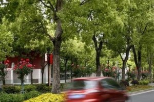 绿色街道（以街道绿化树木为主题的城市美化措施）