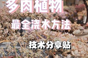 多肉植物冬季浇水的注意事项（科学控制浇水量，保护多肉植物免受寒冷之害）