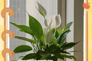 如何有效防止白掌枝干长长下垂（白掌枝干长长下垂的原因和解决方法）