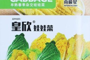 娃娃菜春天可以种吗？（春季娃娃菜种植技巧与注意事项）