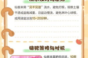 冬天仙客来，叶子发黄怎么办？（冬季叶子发黄的原因及应对方法）