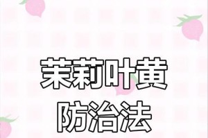 夏季叶片发黄的原因及解决方法（揭秘叶片发黄的根源，告别黄叶困扰）