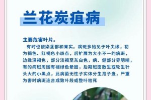 白兰花发黄的治疗方法与护理技巧（保护叶片，提供适宜环境，恢复健康）