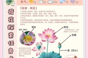 莲花生长环境与地方条件（探寻莲花生长的秘密，让你爱上这个美丽的水生植物）