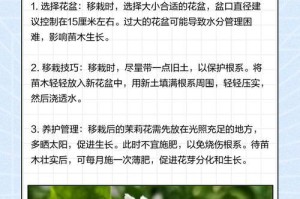 茉莉花的养护技巧——让春天永远绽放（了解茉莉花的特性和养护要点，让你的花园充满春天的芬芳）