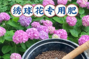 家庭DIY花肥料的制作方法（打造绿意盎然的花园，从自制肥料开始）