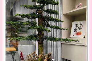 探寻罗汉松种院子风水之奥秘（揭示罗汉松种院子风水的利与弊，了解最佳摆放位置）