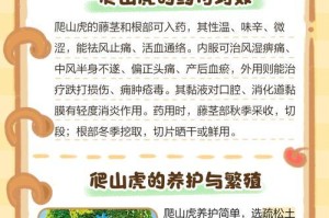 爬山虎的繁殖方法与技巧（掌握关键诀窍，轻松繁衍生息）