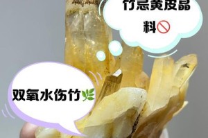 竹子发黑了怎么办？（保护竹子的生长和美观）