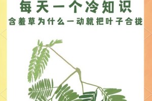 如何让含羞草长直（探索含羞草生长的秘密，让它挺拔起来！）