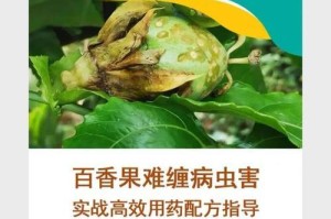 贡柑落果怎么办？教你简单有效的解决方法（15个实用技巧让你解决贡柑落果难题）