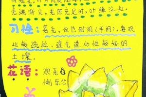黄丽多肉的浇水技巧与注意事项（打造健康多肉，科学浇水关键）