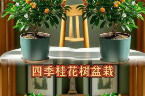 北方家里如何养桂花？（打造美丽芳香的桂花家园）