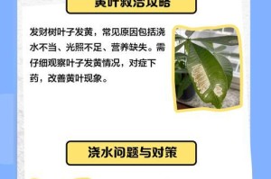 发财树叶子发黄有粘液，原因和解决方法剖析（为什么发财树叶子会发黄有粘液？如何有效解决这个问题？）