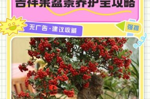开心果花卉的养殖技巧与注意事项（打造花坛中的亮点，掌握开心果花卉养护要点）