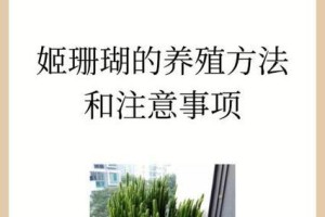 如何养护膨珊瑚植物（掌握关键诀窍，打造养护膨珊瑚植物的绝佳环境）