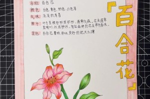走出百合花开的困境——如何重新振作起来（百合花开失败后的应对策略及心态调整）