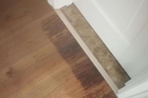 如何应对以爱之蔓发霉了的情况（以爱之蔓发霉了怎么办？防患于未然，追求健康的爱情）
