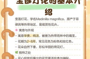 低温下的宝莲灯花的保护与护理（应对低温天气，让宝莲灯花绽放迷人花海）