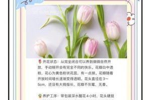 郁金香小球的养护指南（让你的郁金香小球健康成长的关键技巧）