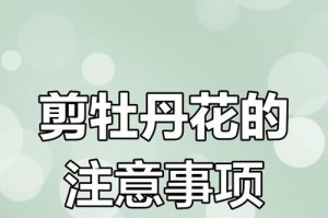 夏天牡丹修剪的技巧与注意事项（打造美丽花坛的秘诀，夏季修剪牡丹必备！）