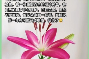如何正确浇水新盆栽的百合（科学浇水方法让百合茁壮成长）