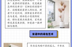 以三色千年木怎么养（打造健康美丽的三色千年木完美家居装饰的首选）