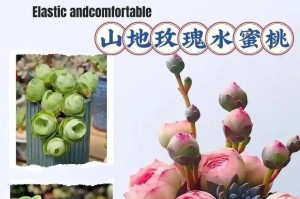 山地玫瑰的春季养护指南（了解关键的养护技巧，打造美丽的花园）