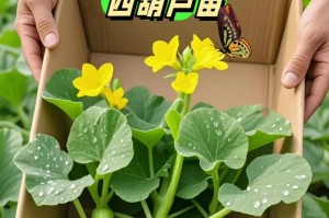 盆栽葫芦之细而美（探秘盆栽葫芦为何多如发丝？）