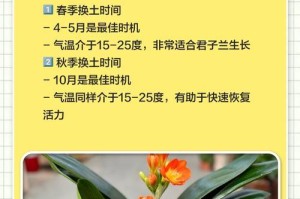 君子兰换土修理根的方法与技巧（掌握关键步骤，让君子兰重新焕发生机）