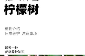 北方柠檬树养护指南（北方柠檬树栽培方法与常见问题解答）