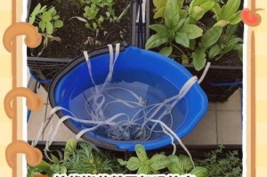 春节回家，如何给家里的花浇水？（春节期间适宜的浇水方法和注意事项）