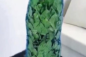 冬天如何给幸福树浇水（寒冷季节的养护技巧，让幸福树更健康）