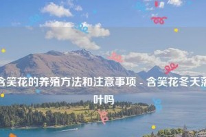 含笑花的养殖与注意事项（打造室内美丽风景，让含笑花灿烂绽放）