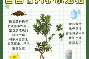 如何正确给家中的盆栽百合浇水（室内盆栽百合的水分管理技巧）