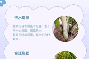 植物根部叶片发黄的原因及处理方法（探究植物叶片发黄的原因与相应的治理方法）