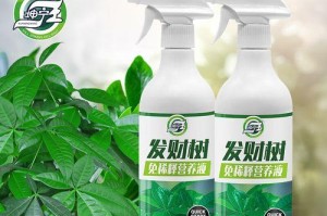 盆栽植物的肥料施用指南（养护技巧、肥料选择与施肥方法详解）