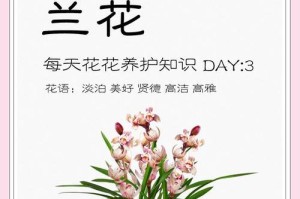 如何成功养殖米兰花（全面了解米兰花的养殖方法和注意事项）