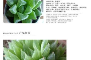 如何正确浇水给休眠中的玉露（玉露休眠期的养护之水分管理）