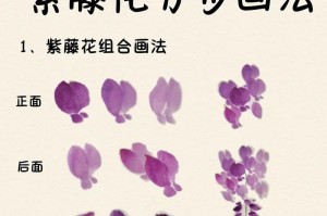 紫藤种子繁殖指南（轻松培育美丽紫藤的步骤与技巧）