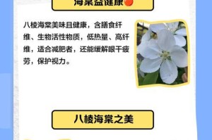 海棠修剪技巧（掌握关键步骤，让海棠焕发迷人之美）