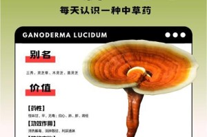 灵芝的生长期究竟有多长时间？（探究灵芝的生命历程及其生长环境）