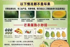 如何催芽芒果种子？（简单易行的催芽方法，让你在家也能种出美味的芒果。）