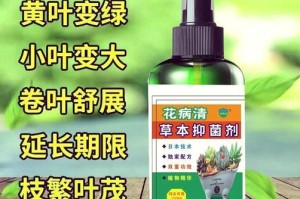 如何应对观音花叶黄化问题（观音花叶黄了怎么办？解决方法一览）
