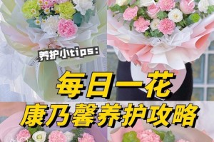 康乃馨花期怎么养护管理？（花期延长，让康乃馨长久鲜艳！）