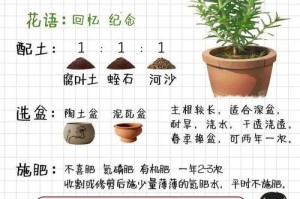以神香草种子怎么种（从种子到花朵，打造属于你的神香花园）
