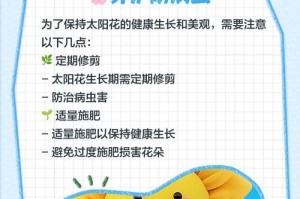以太阳花种子怎么种好？（掌握关键技巧，培育茁壮的以太阳花）